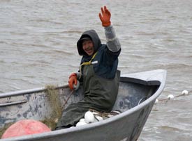 fishing of the Yukon river for Kwikpak Fisheries